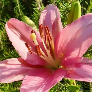 Meet your Posher, Christine